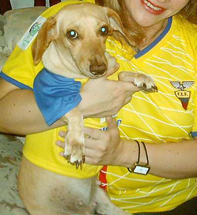 Ecuador en el mundial Alemania 2006
