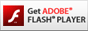 Download Flash Player